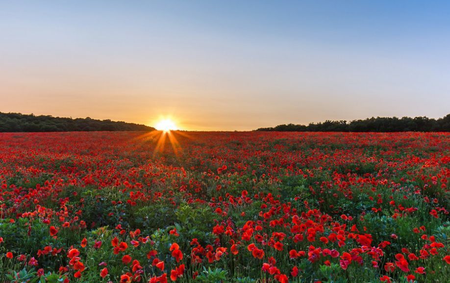 tyc7111cc太阳成集团