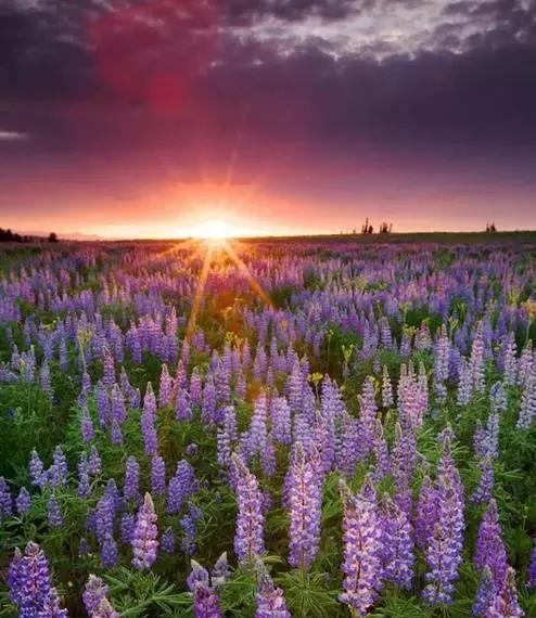 太阳成tyc7111cc官网