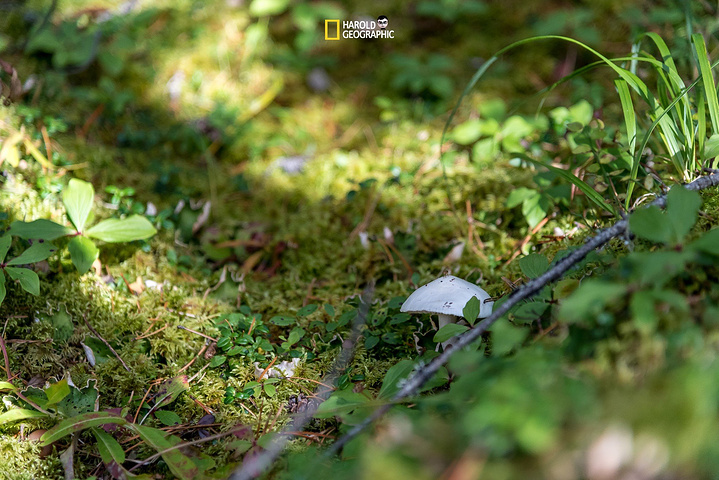 tyc7111cc太阳成集团