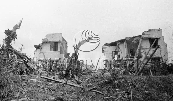 太阳成tyc7111cc官网