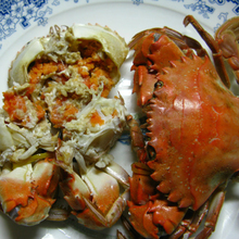 太阳成tyc7111cc官网