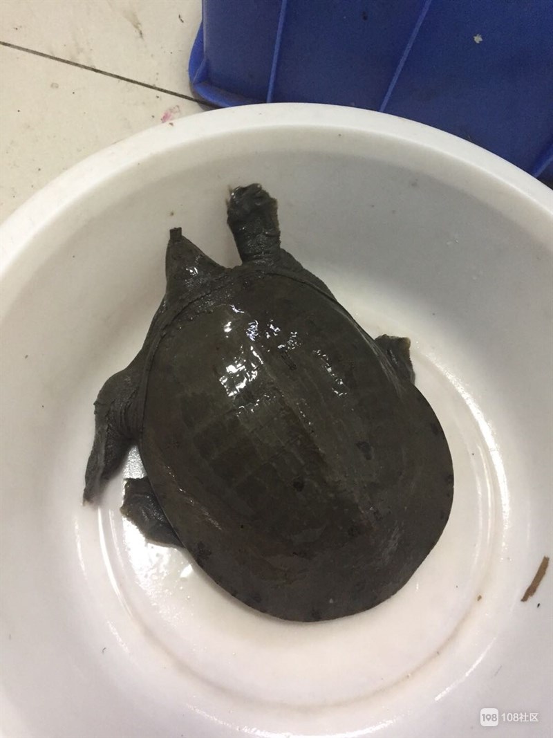 tyc7111cc太阳成集团