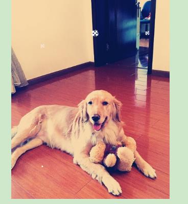 tyc7111cc太阳成集团