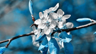 tyc7111cc太阳成集团