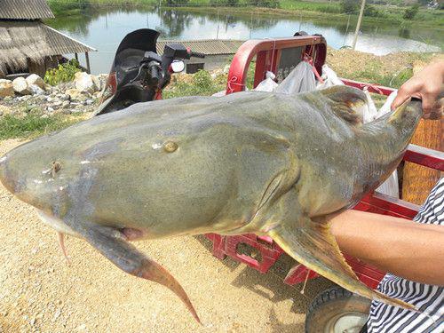 tyc7111cc太阳成集团