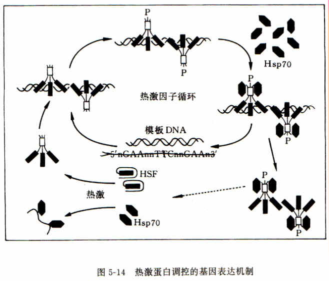 tyc7111cc太阳成集团