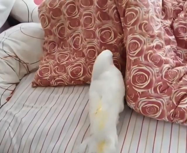 tyc7111cc太阳成集团