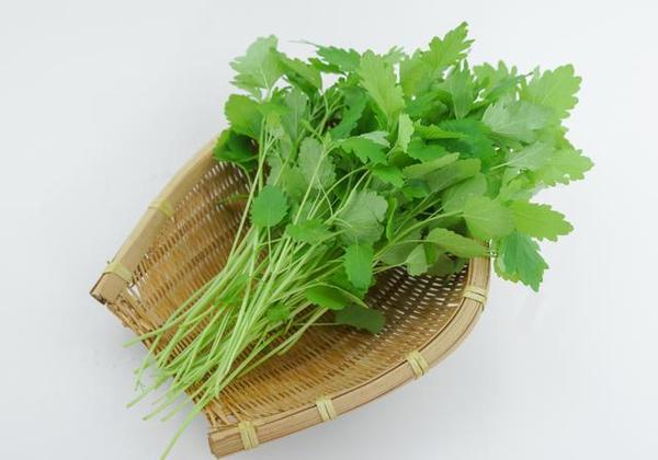 tyc7111cc太阳成集团|商务部:上半年消费增速有望达到8.2%(图1) 太阳成tyc7111cc