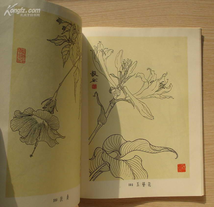 太阳成tyc7111cc官网