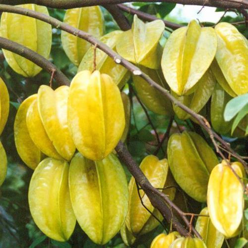 太阳成tyc7111cc:大学生学习不刻苦涉嫌违反教育法?(图2) 太阳成tyc7111cc官网