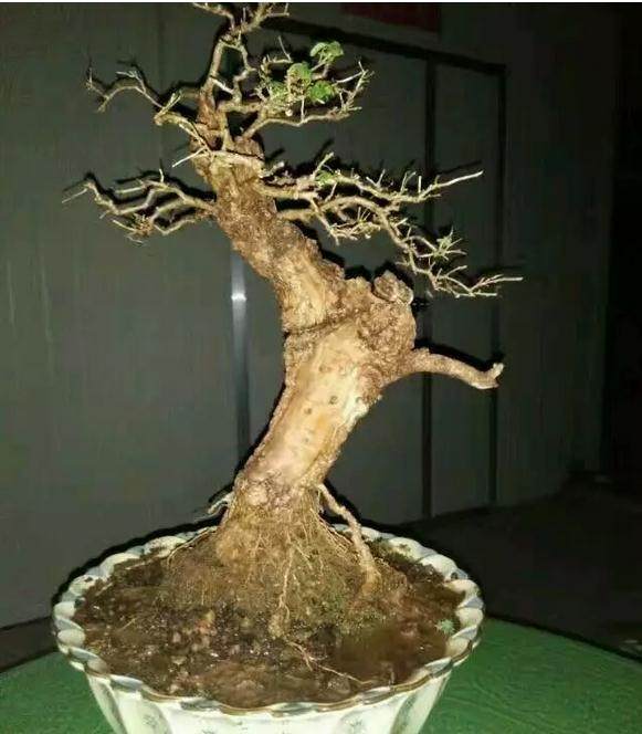 “tyc7111cc太阳成集团”发改委等11个部门联合印发《智能汽车创新发展战略》(图2) 太阳成tyc7111cc