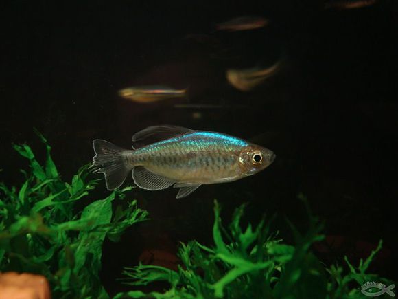 太阳成tyc7111cc官网