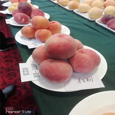 【tyc7111cc太阳成集团】河南今年累计下调一般工商业目录电价7.32分/千瓦时(图4) 太阳成tyc7111cc官网