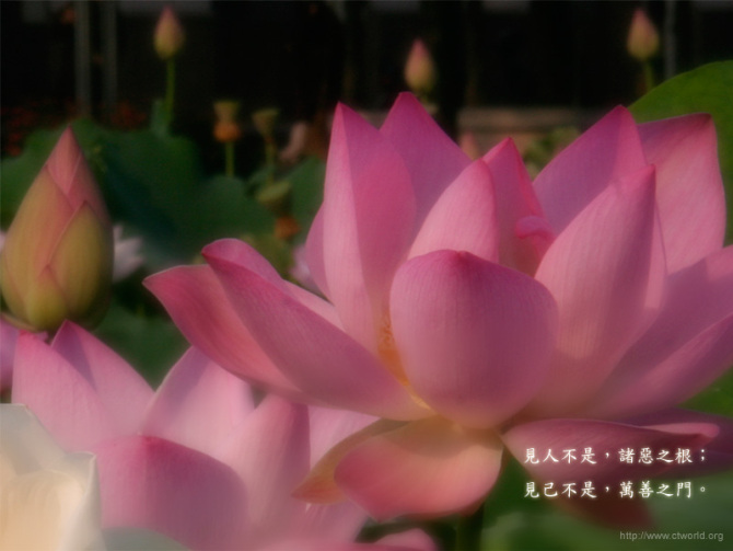 太阳成tyc7111cc官网