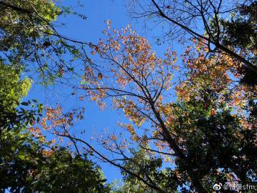 太阳成tyc7111cc官网