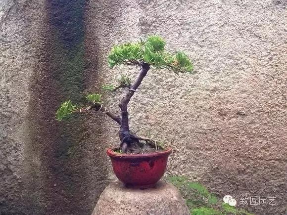 tyc7111cc太阳成集团