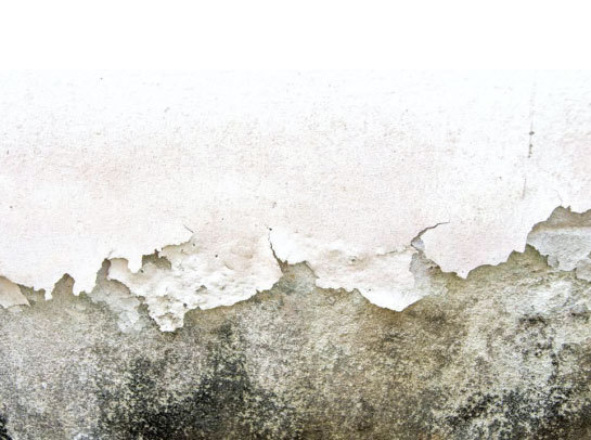 tyc7111cc太阳成集团